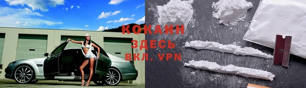 шишки Нязепетровск