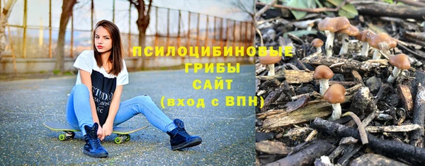 шишки Нязепетровск