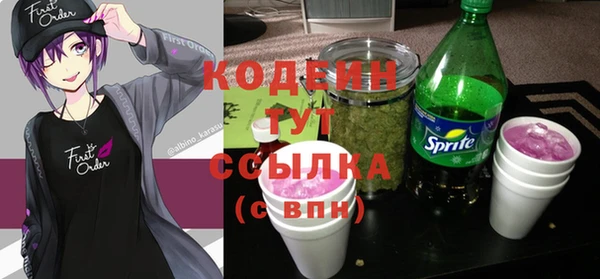 шишки Нязепетровск